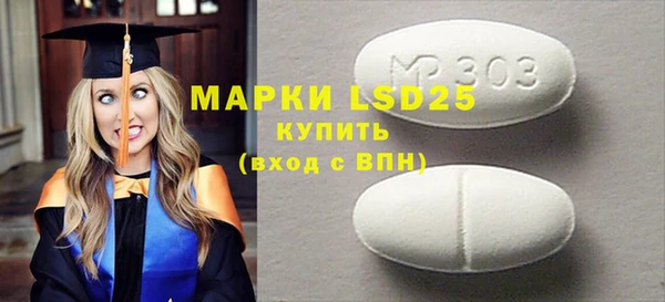 МДПВ Бородино