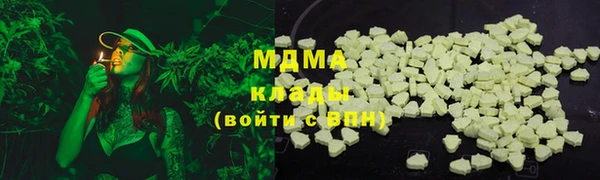 МДПВ Бородино