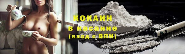МДПВ Бородино