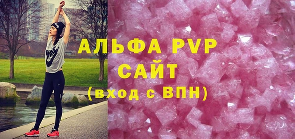 МДПВ Бородино