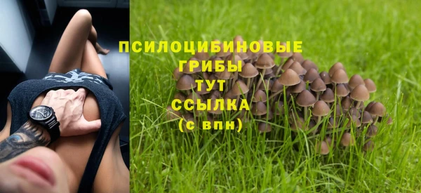 МДПВ Бородино