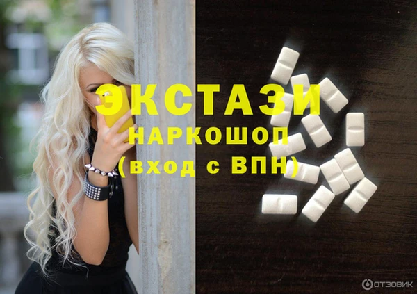МДПВ Бородино