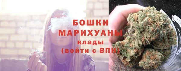 МДПВ Богородск